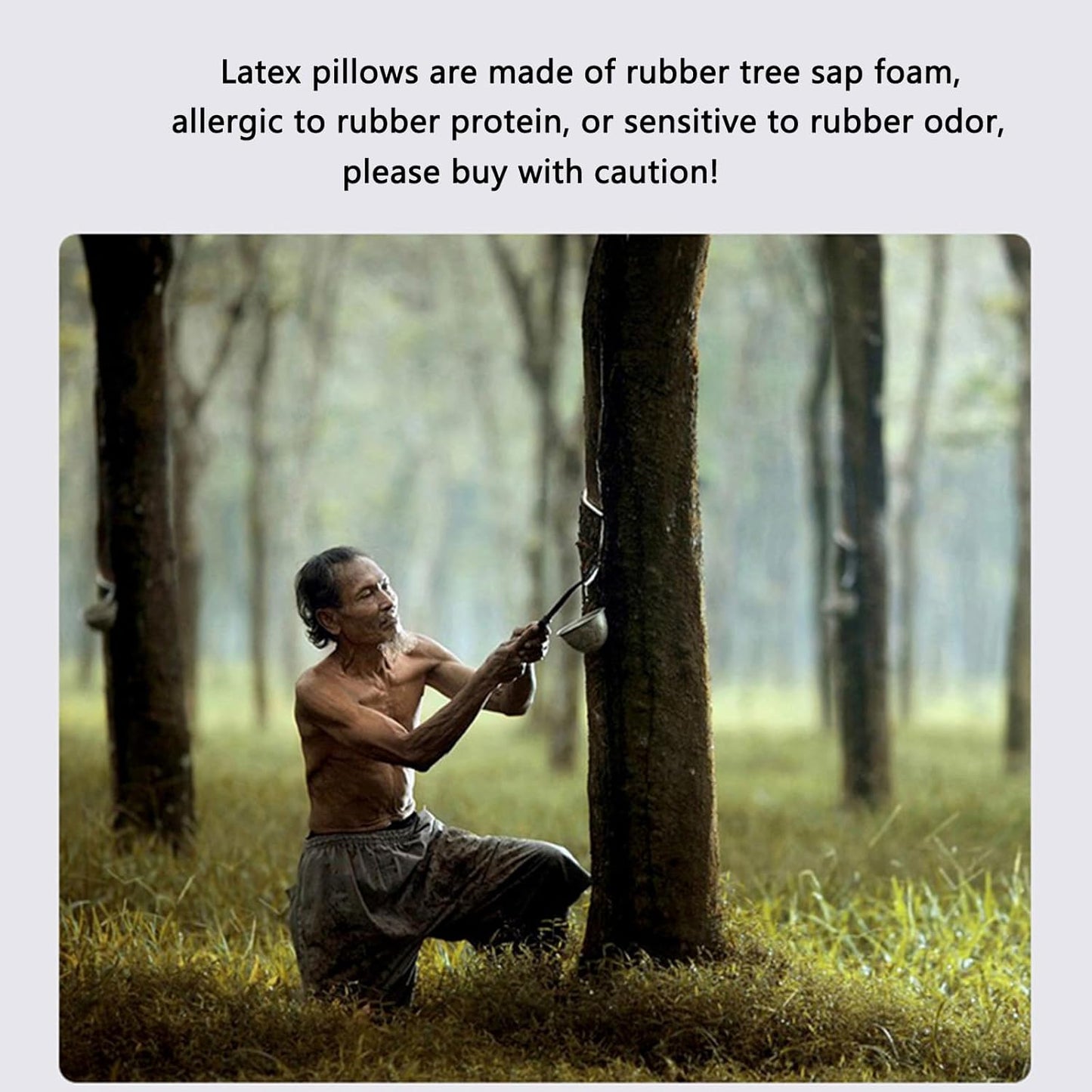 Ultra Thin Nature Latex Foam Pillow-Bouncy Yet Sturdy Soft and Supportive,Ultra Slim Cervical Neck Contour Pillow for Back Sleepers,for Neck Shoulder Pain Relief(23.6"×15.7"×3.1"/3.9")