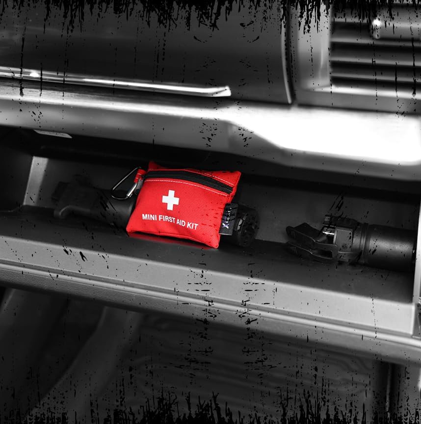 Lightning X Mini First Aid Kit – Compact 20 Piece Emergency Medical Kit with Carabiner | Portable Water Resistant Travel First Aid Pouch for Hiking, Camping, Car, Backpack, Outdoor Survival