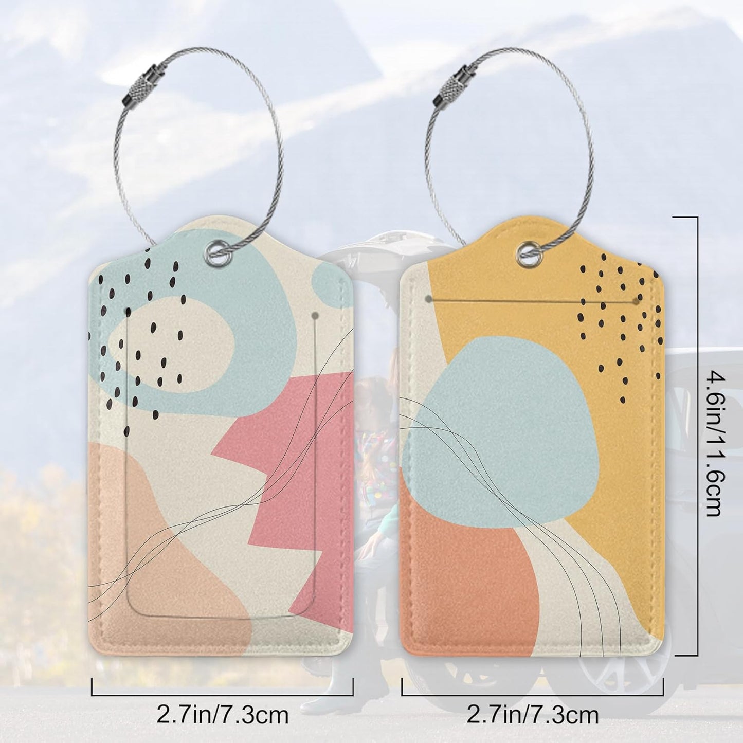 Abstract Lines and Curves 2 Pack Luggage Tag for Suitcase, Cute Unique Leather Bag Tags Identifiers Privacy Cover ID Label with Durable Steel Loop for Women Men Kids Girls Travel